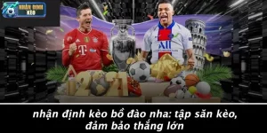 nhận định kèo bồ đào nha