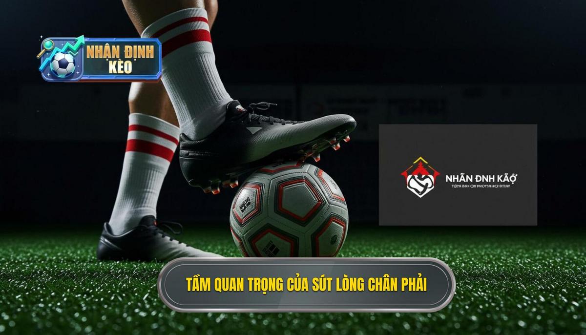 Phần 1_ Tầm quan trọng của Kỹ thuật sút bóng bằng lòng bàn chân phải