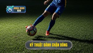 Kỹ thuật đánh chặn bóng