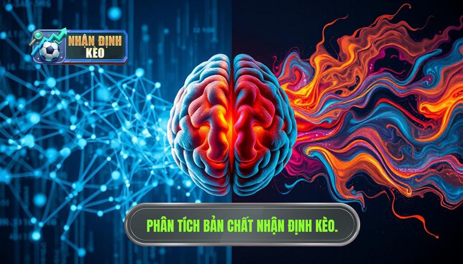 Bản chất của việc nhận định kèo: Khoa học hay Cảm tính?